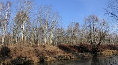 0218_TZ60_P1080476_cr