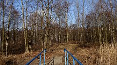 0230_TZ60_P1080479_cr