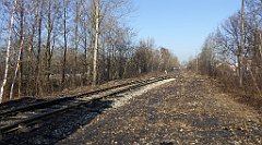 0282_TZ60_P1080524_cr