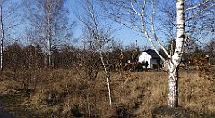 0291_TZ60_P1080533_cr