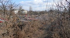 0366_TZ60_P1080606_cr