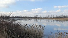 0381_TZ60_P1080620_cr