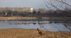 0404_TZ60_P1080650_cr