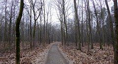 034_TZ60_P1080794_cr