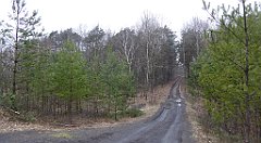 056_TZ60_P1080816_cr