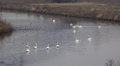 082_TZ60_P1080843_cr