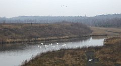 104_TZ60_P1080860_cr