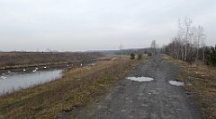 129_TZ60_P1080878_cr