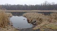 248_TZ60_P1080929_cr