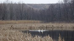 250_TZ60_P1080931_cr