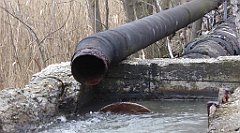 284_TZ60_P1080944_cr