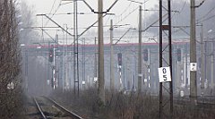 323_TZ60_P1080961_cr