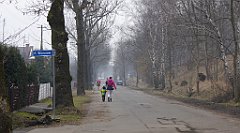 366_TZ60_P1080983_cr