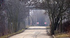 384_TZ60_P1080990_cr