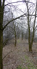 387_TZ60_P1080993_cr