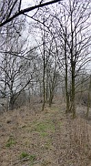 393_TZ60_P1080999_cr