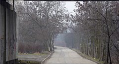 407_TZ60_P1090009_cr