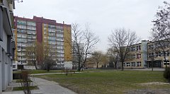 445_TZ60_P1090026_cr