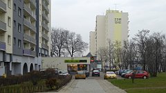 452_TZ60_P1090033_cr