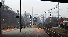 565_TZ60_P1090067_cr