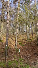 043_TZ60_P1090787_cr