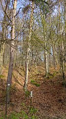 044_TZ60_P1090788_cr