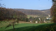 060_TZ60_P1090797_cr