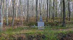 068_TZ60_P1090805_cr