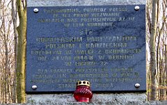 075_TZ60_P1090811_cr