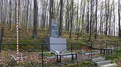 081_TZ60_P1090817_cr