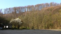 102a_TZ60_P1090838_cr