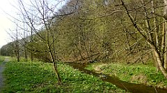 119_TZ60_P1090847_cr