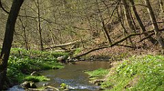 124_TZ60_P1090852_cr