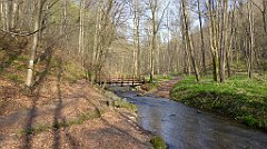 135_TZ60_P1090861_cr