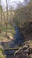 163_TZ60_P1090870_cr