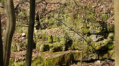 165_TZ60_P1090872_cr