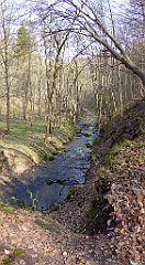 173_TZ60_P1090876_cr