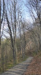 176_TZ60_P1090879_cr