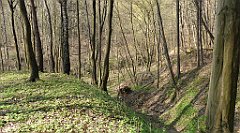 178_TZ60_P1090881_cr