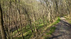 185_TZ60_P1090885_cr