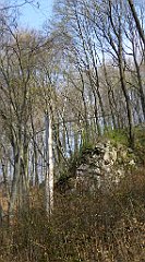 187_TZ60_P1090887_cr