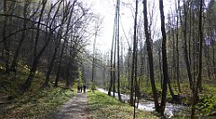 201_TZ60_P1090901_cr