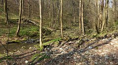 206_TZ60_P1090906_cr