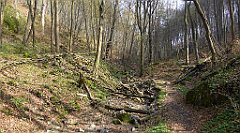 215_TZ60_P1090915_cr