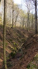 219_TZ60_P1090919_cr