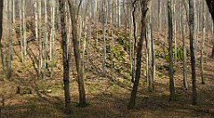 221_TZ60_P1090921_cr