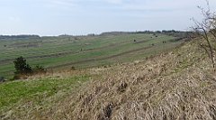 277_TZ60_P1090968_cr