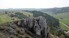 292_TZ60_P1090986_cr