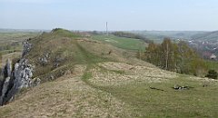 298_TZ60_P1100005_cr