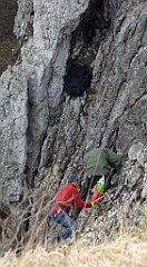 302_TZ60_P1100013_cr